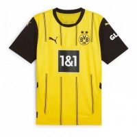 Camisa de time de futebol Borussia Dortmund Karim Adeyemi #27 Replicas 1º Equipamento 2024-25 Manga Curta